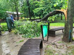 В Харькове вторые сутки убирают последствия урагана