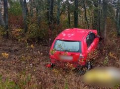 На Харківщині автівка врізалася в дерево: Загинула 8-річна донька водійки