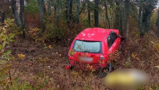 На Харьковщине автомобиль врезался в дерево: Погибла 8-летняя дочь водителя