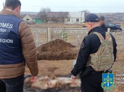 Загинула на власному подвір’ї: На Харківщині ексгумували жертву окупантів
