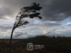 На Харківщині очікується негода: що відомо