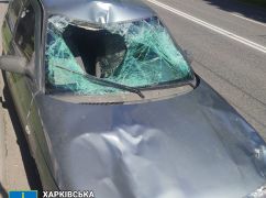 В Харькове объявили подозрение водителю легковушки, который задавил людей на "зебре"