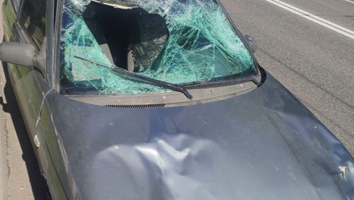 В Харькове объявили подозрение водителю легковушки, который задавил людей на "зебре"