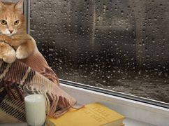 Харьков накроют дожди: прогноз погоды на 18 апреля