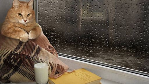 Харків накриють дощі: прогноз погоди на 18 квітня