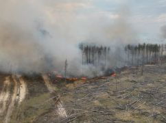 Біля Ізюма горять понад 113 га лісу: що відомо про пожежі