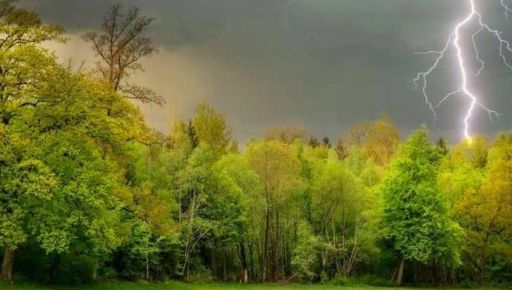 На Харківщині попереджають про небезпечні метеорологічні явища