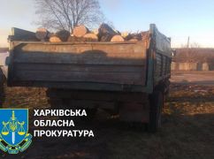 В Харьковской области будут судить организованную группу черных лесорубов