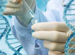 У Печенігах знайшли рештки тіл: знадобиться ДНК-експертиза