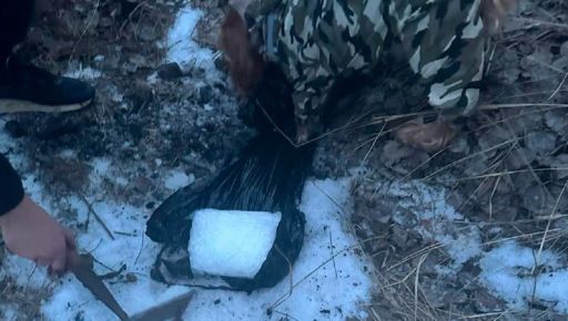 На Харківщини службовий пес знайшов психотропів на $100 тисяч
