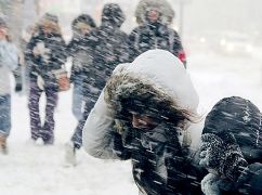 Шквали та хуртовина: Синоптики повідомили про небезпечну погоду на Харківщині
