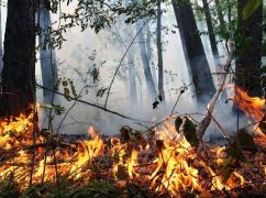 Синоптики попередили про пожежну небезпеку на Харківщині