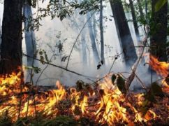Синоптики предупредили о пожарной опасности в Харьковской области