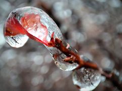 У Харківській області прогнозують негоду 7 лютого: чого очікувати