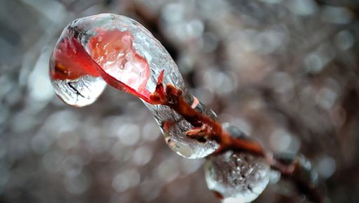 У Харківській області прогнозують негоду 7 лютого: чого очікувати