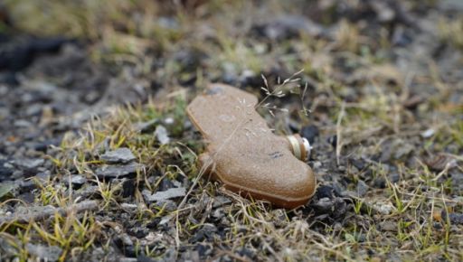 В Харьковской области мужчина подорвался на взрывчатке: Что известно