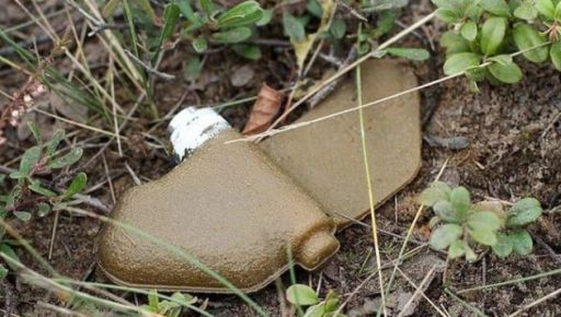 На Харківщині пенсіонерка підірвалася на невідомому боєприпасі: деталі