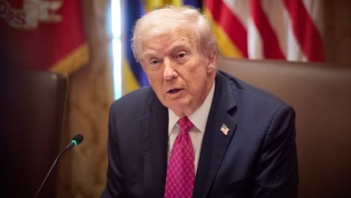 28 пунктов Дмитриева – Виткофа. Или при чем здесь логика Трампа и наши выборы