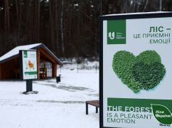 Лісники готують нові місця для відпочинку в Харківській області: відкриють навесні
