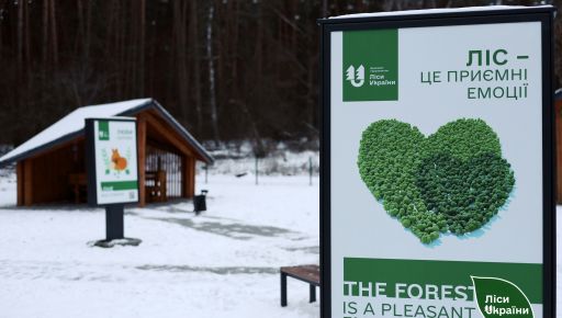Лесники готовят новые места отдыха в Харьковской области: откроют весной