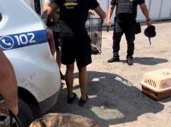 Харьковские копы эвакуировали брошенных животных с прифронтовых территорий