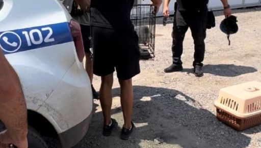 Харківські копи евакуювали покинутих тварин із прифронтових територій