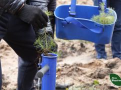 На Харківщині цієї весни висадять понад 157 га нових лісів