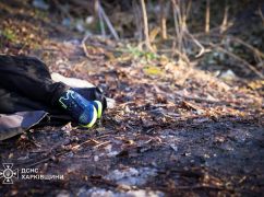 Стало відомо, хто врятував чотирьох дітей від смерті на ставку в Харкові