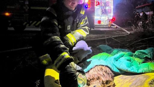 У Харкові бійці ДСНС врятували з палаючого будинку двох собак