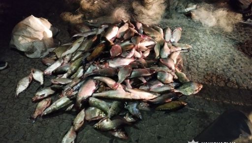На Харківщині судитимуть браконьєра, що "нарибалив" більш ніж на 500 тис. грн