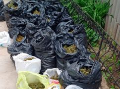 У Харкові знайшли наркоплантацію в приватному будинку: вилучено канабісу на 1,6 млн грн