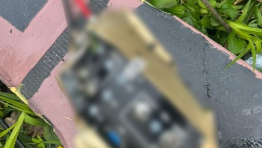 На Харківщині та Сумщині прикордонники знищили за добу 82 ворожі БпЛА