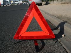 На Харківщині врятували котика військових, якого збили в ДТП