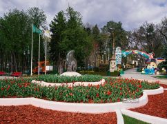 Пасмурно и прохладно: прогноз погоды в Харькове на 29 апреля