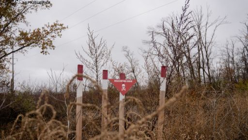 На Харківщині за тиждень сапери розмінували понад 20 домоволодінь