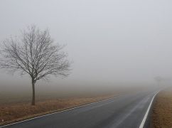 Харьковщину накроет туман: синоптики предупредили об ограниченной видимости на дорогах