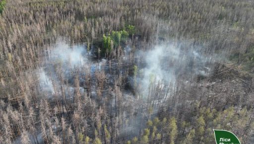 На Харківщині за тиждень через спеку та обстріли вигоріло майже 29 га лісу