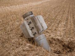 Что происходит с аграрным сектором Харьковщины и хватит ли зерна для внутренних нужд