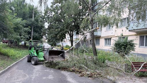 В Харькове непогода свалила несколько десятков деревьев