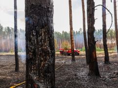 В Харьковской области почти сутки тушили огромный лесной пожар: фото последствий