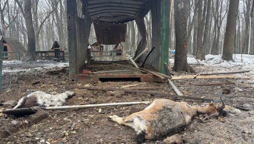 Россияне повторно били по Экопарку под Харьковом, когда туда приехали сотрудники