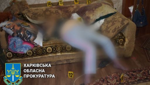 На Харківщині квартирант зарубав пенсіонерку сокирою: Чому суд змінив покарання убивці