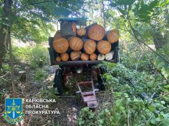 На Харківщині лісники викрили "чорного лісоруба"