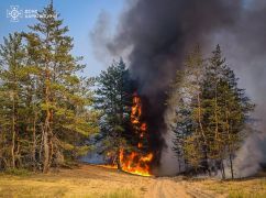 В Харьковской области из-за обстрелов россиян горят леса на площади более 2 тыс. га - ГСЧС