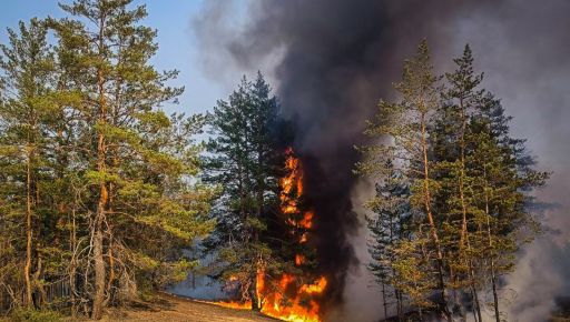 В Харьковской области из-за обстрелов россиян горят леса на площади более 2 тыс. га - ГСЧС
