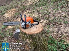 На Харківщині судитимуть чоловіка, що знищив майже 70 дерев