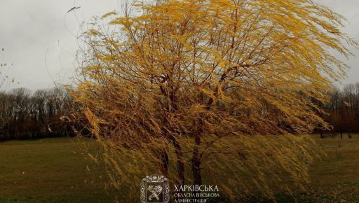 Синоптики предупредили об ухудшении погоды на Харьковщине 18 ноября