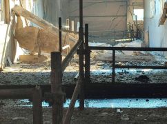 Реактивные БПЛА атаковали ферму в Харьковской области, где находилось почти 200 коров