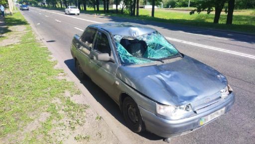 В Харькове мать с сыном попали под колеса автомобиля на переходе: Женщина погибла