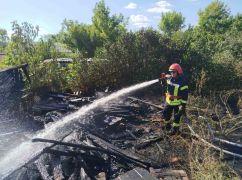 Три пожежі за два дні: на Харківщині палав сухостій